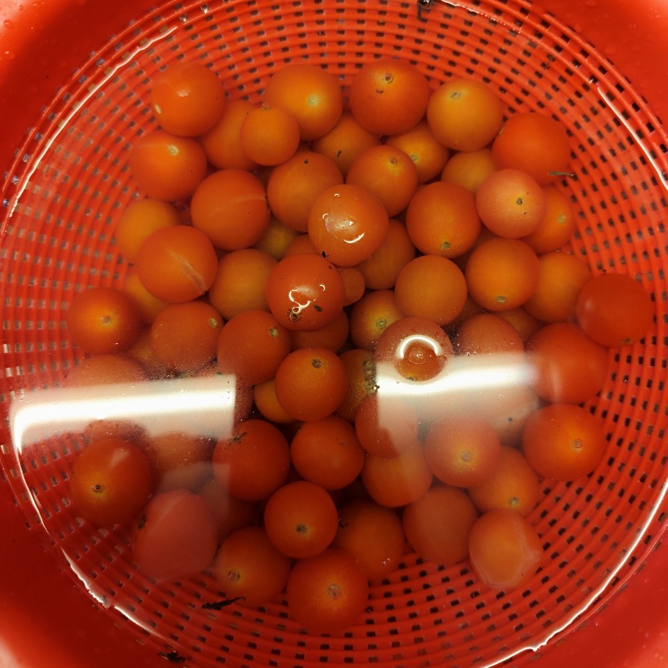 Cherrys confitados🍅🌿 Paso 0 Cherrys confitados🍅🌿 Paso 0