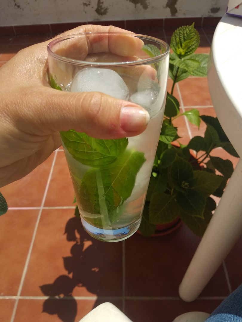 Mojito 馃嵐 Realfood Mojito 馃嵐 Realfood