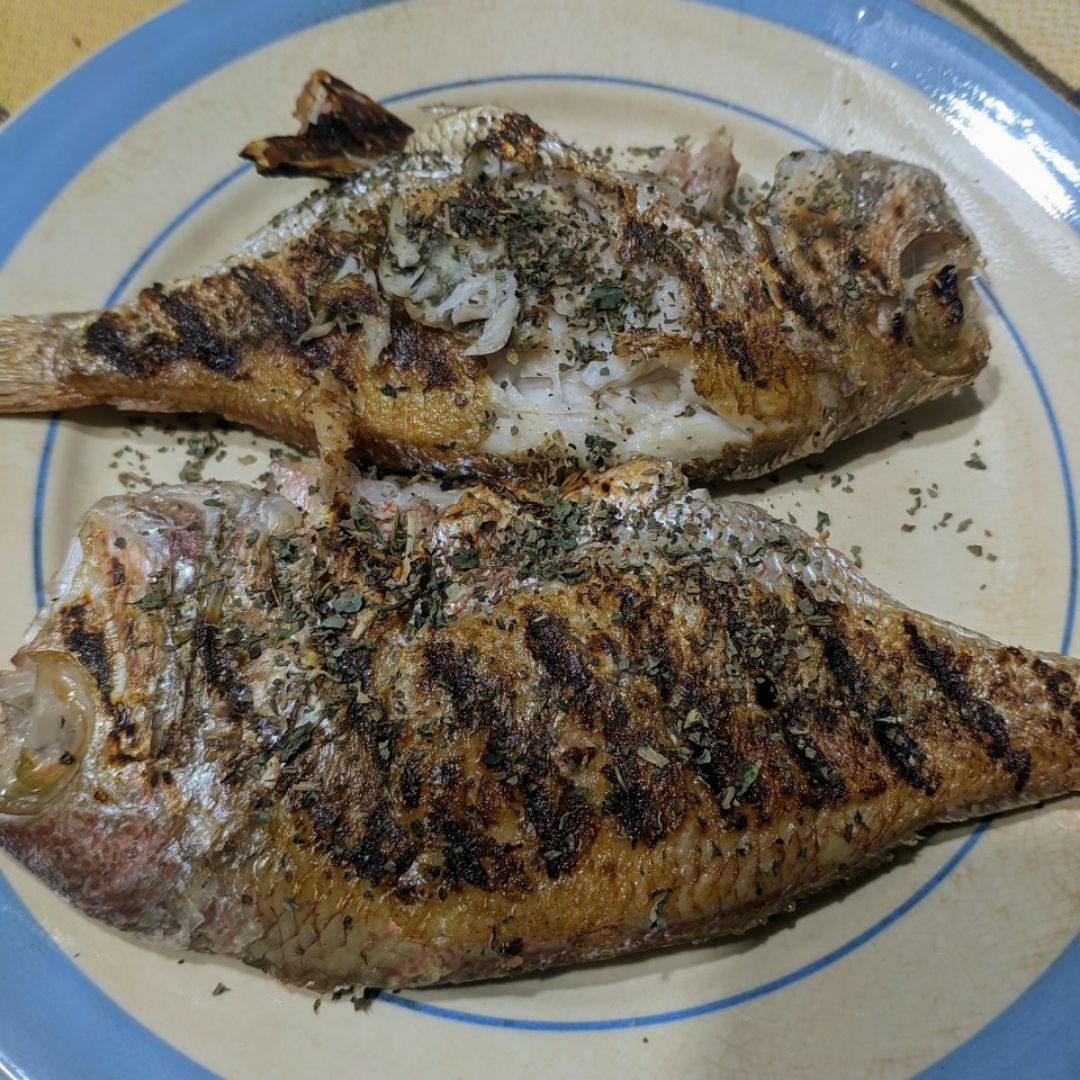 Besugos a la plancha Besugos a la plancha