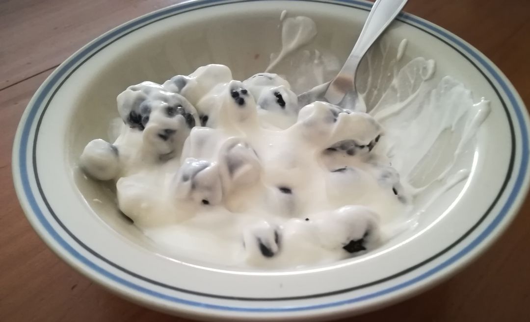 Yogur con arándanos Yogur con arándanos