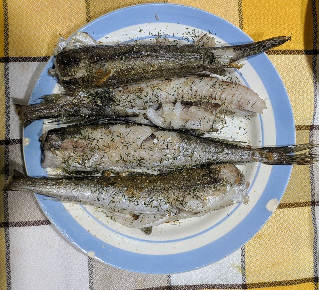 Pescadilla Pescadilla