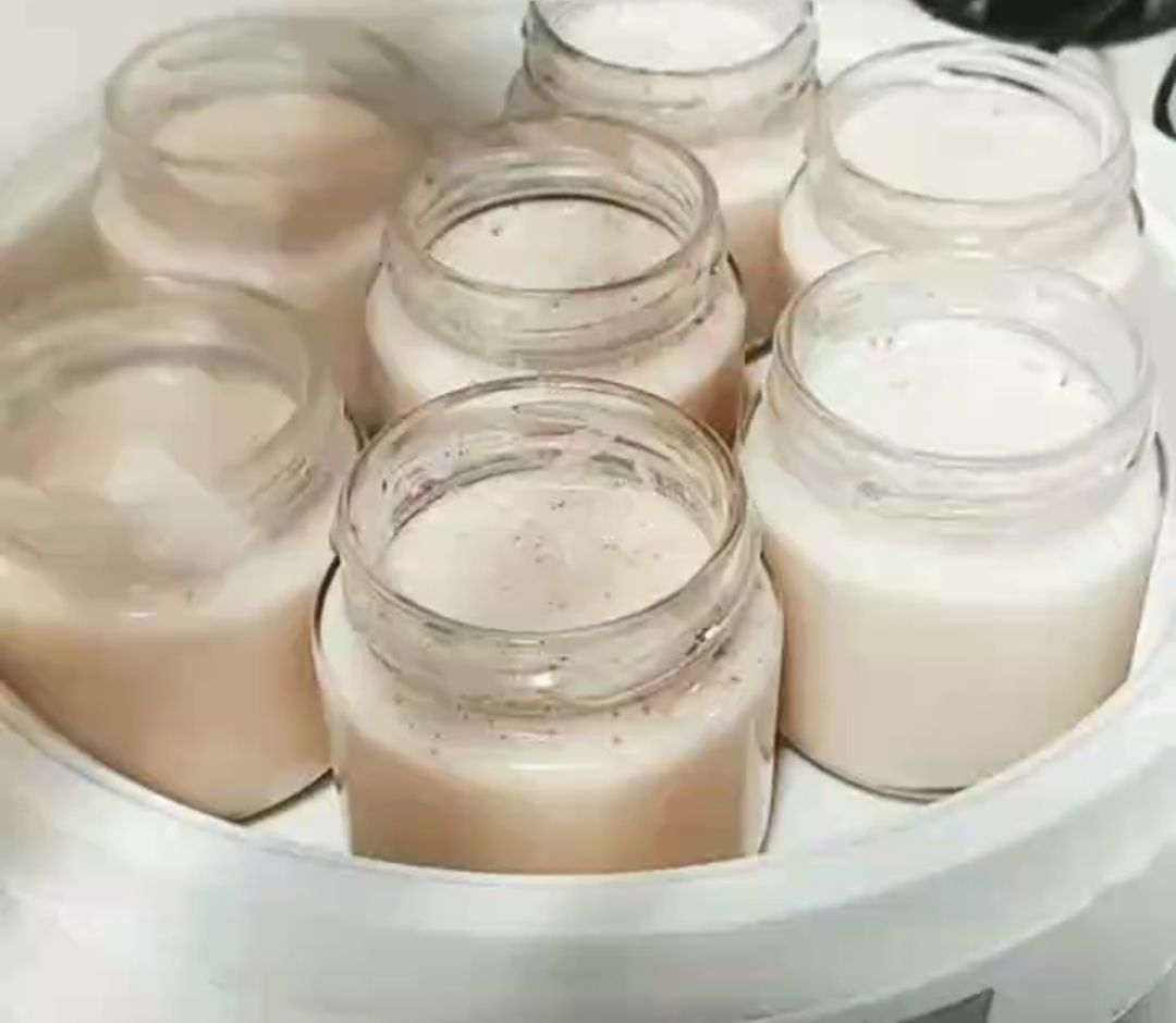 Yogurt proteico de soja y coco Yogurt proteico de soja y coco