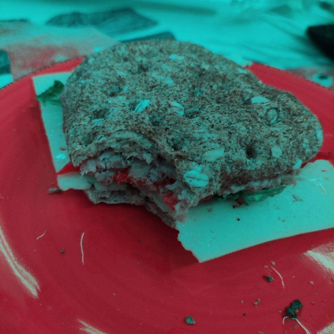 Sandwich de atun y pimiento Sandwich de atun y pimiento