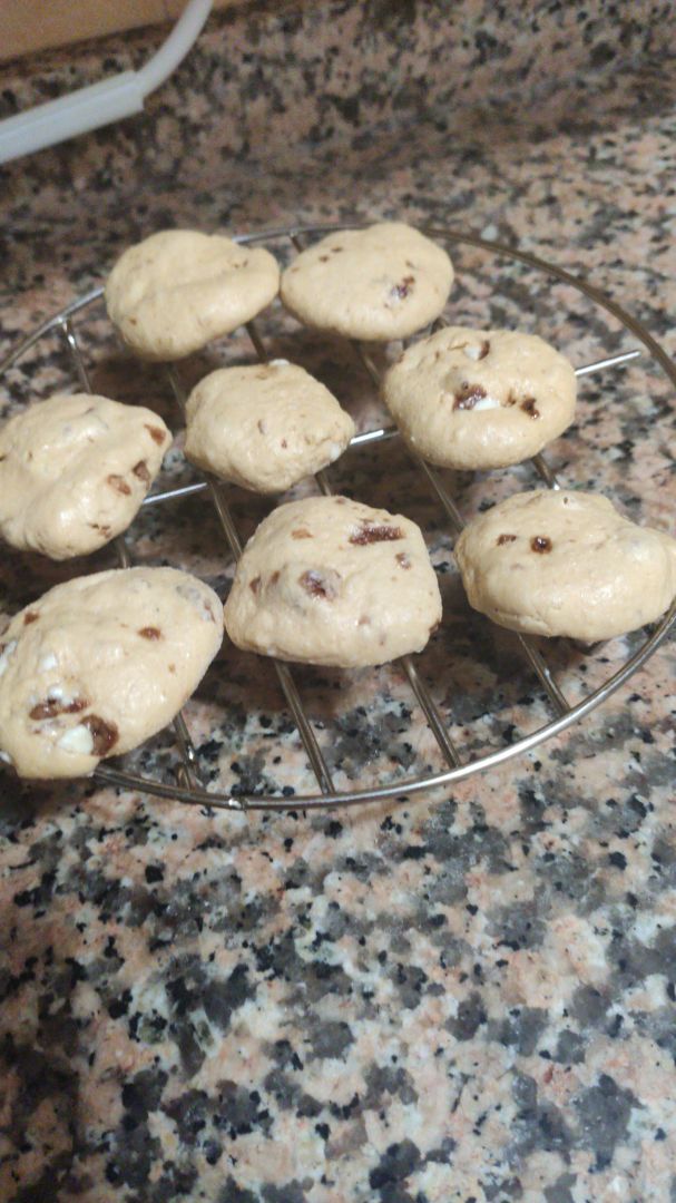 Galletas proteicas Galletas proteicas
