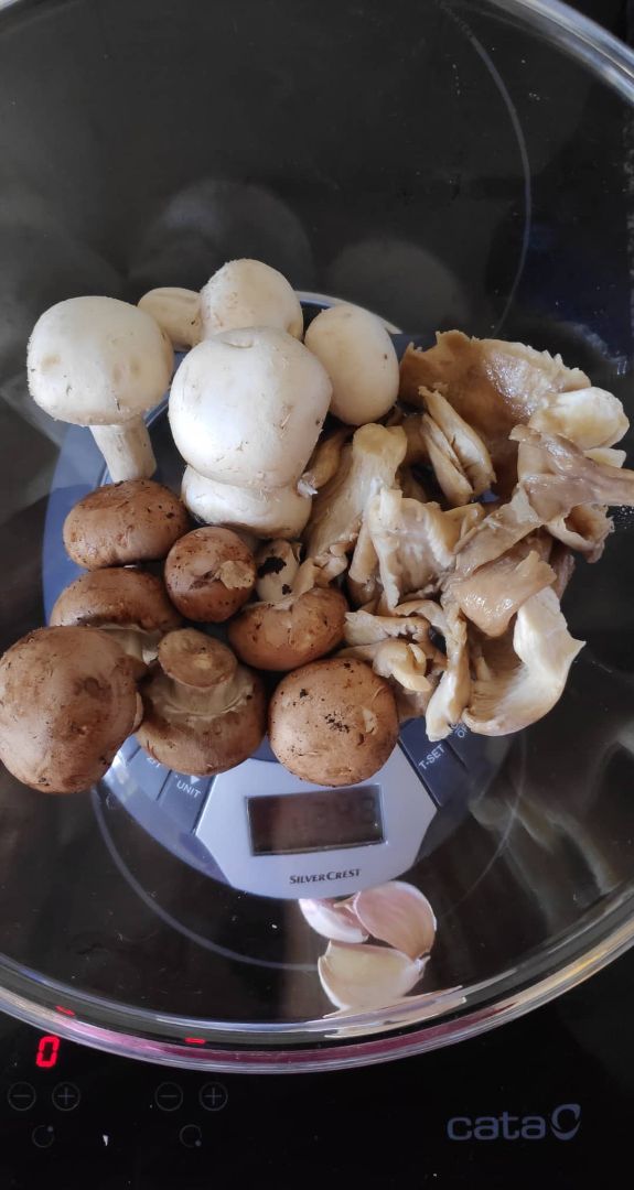 Konjac de lujo Konjac de lujo