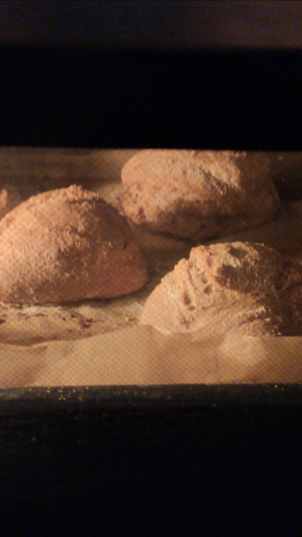 Pan de harina integral y espelta Paso 4 Pan de harina integral y espelta Paso 4