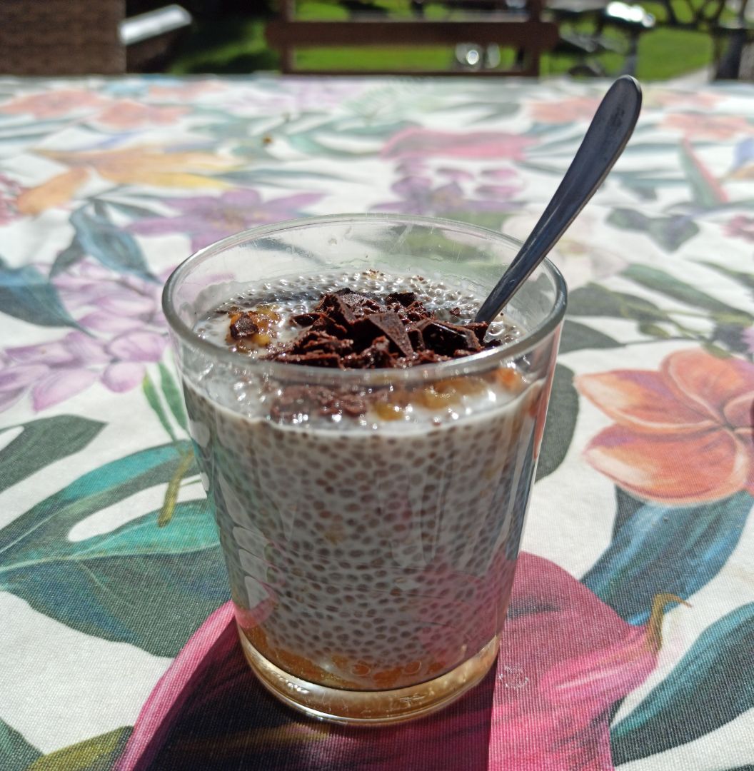 Pudding de chía y nectarina Pudding de chía y nectarina