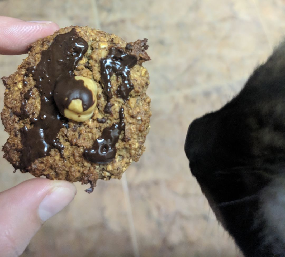 Galletas de avellana, chocolate y canela🌰🔥 Paso 2