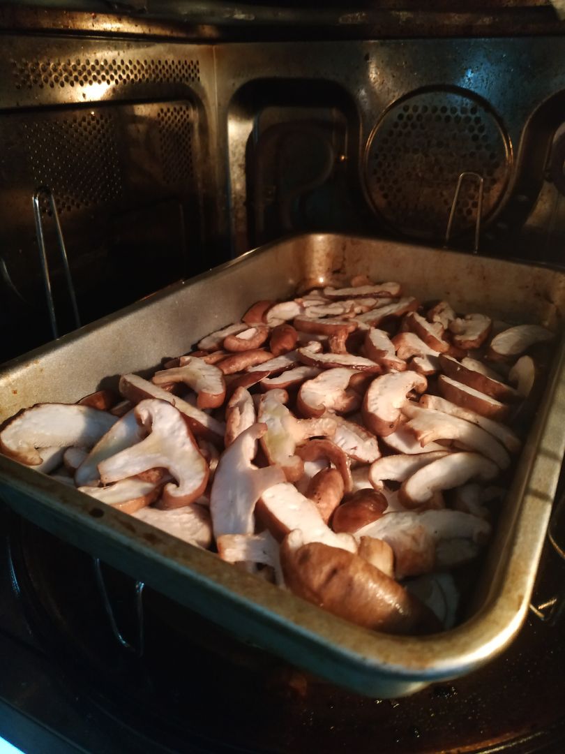 Congee Paso 2 Congee Paso 2