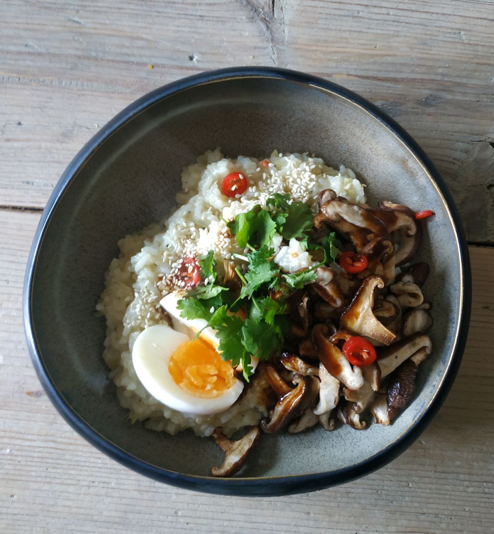 Congee Paso 6 Congee Paso 6