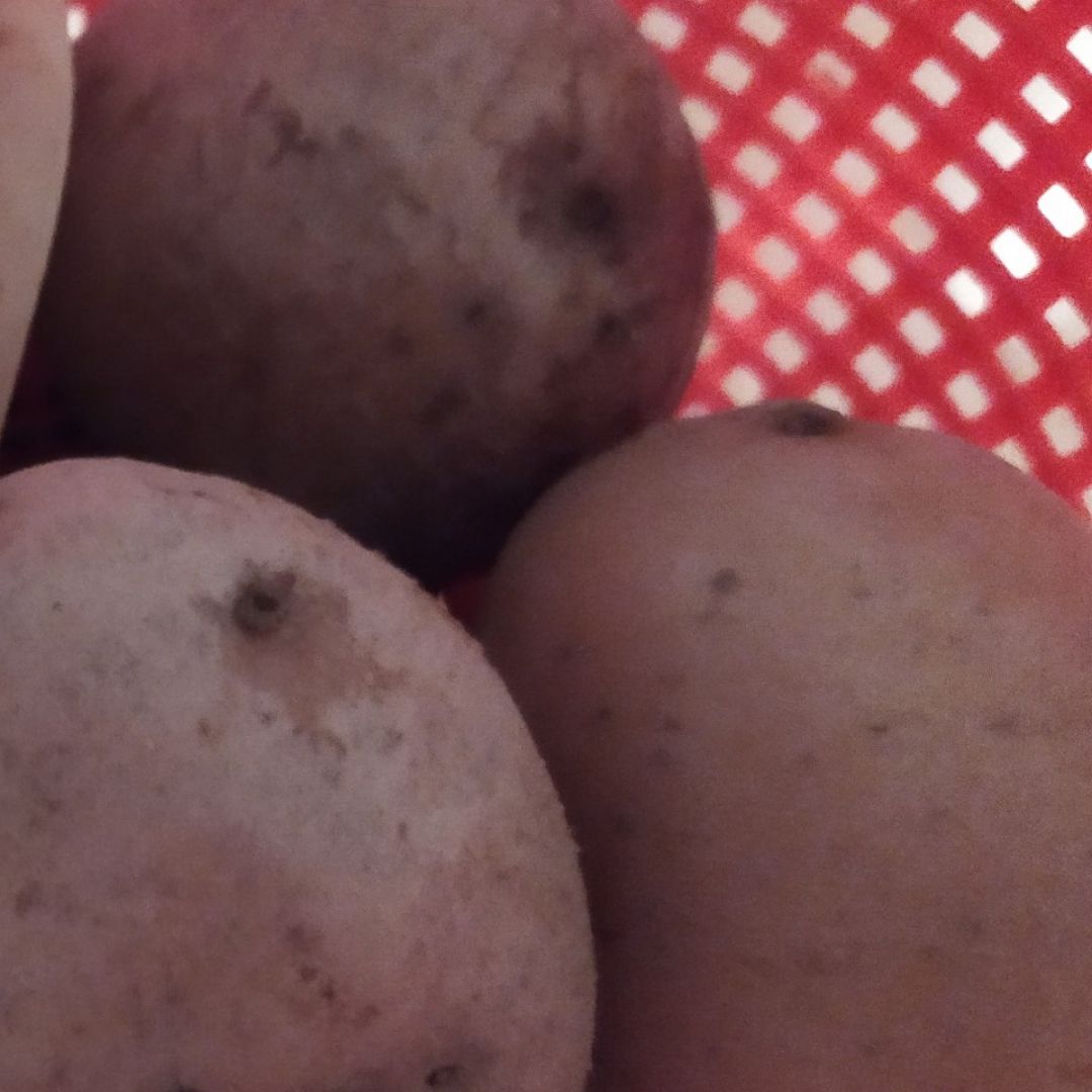 Puré de patatas Paso 0 Puré de patatas Paso 0