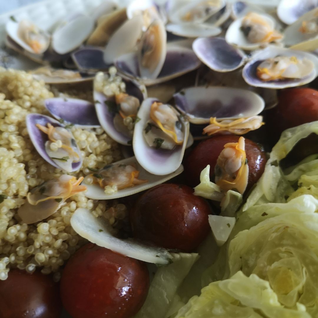 COQUINAS, QUINOA Y ENSALADA COQUINAS, QUINOA Y ENSALADA
