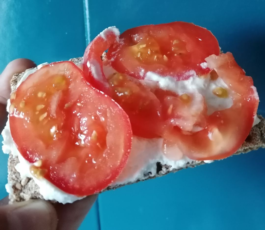 Pan wasa con ricotta y tomate