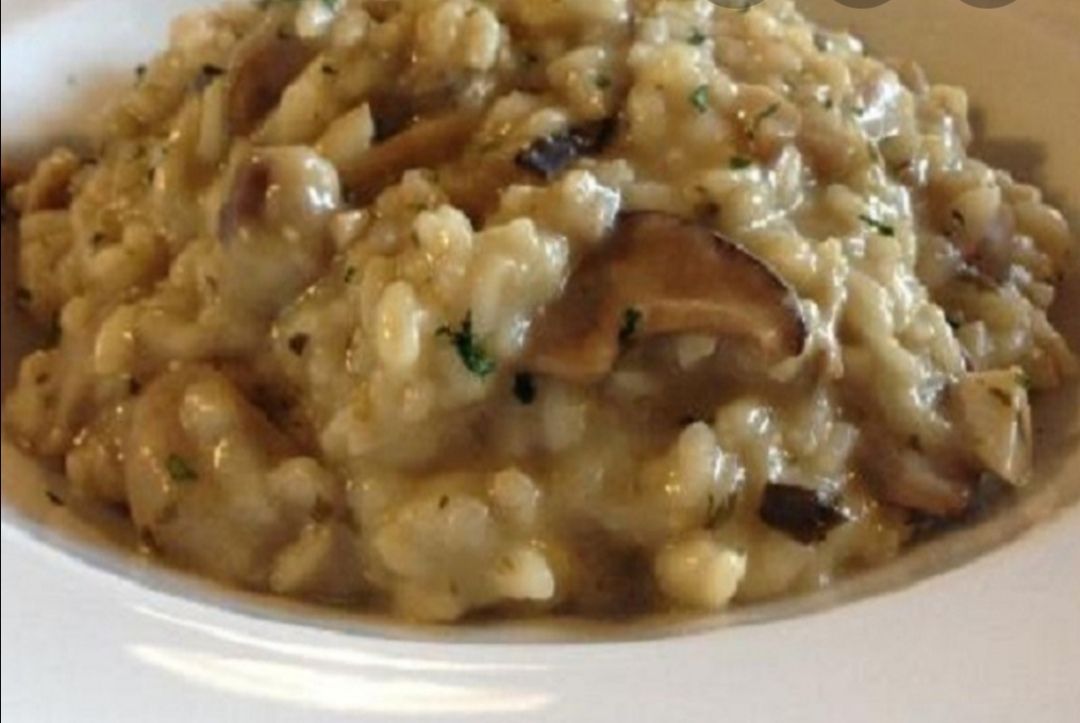 Risotto de setas y queso🧀🌱