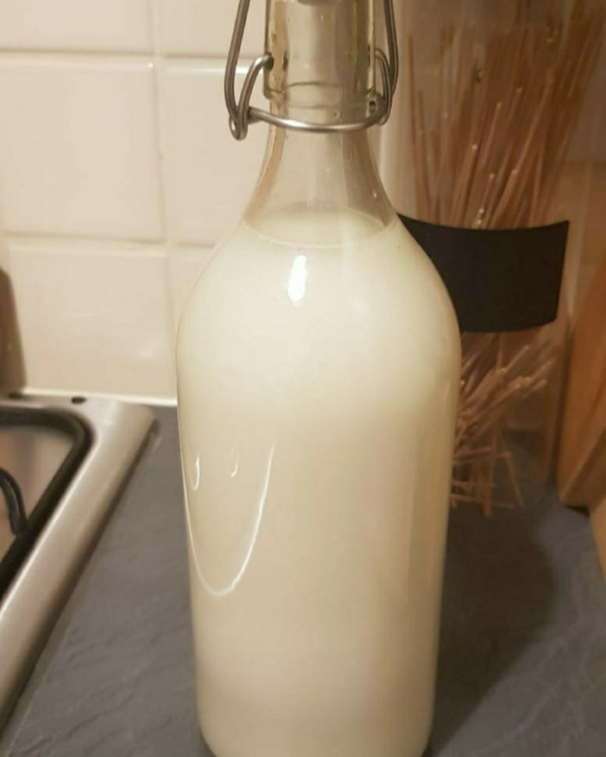 Leche de avena