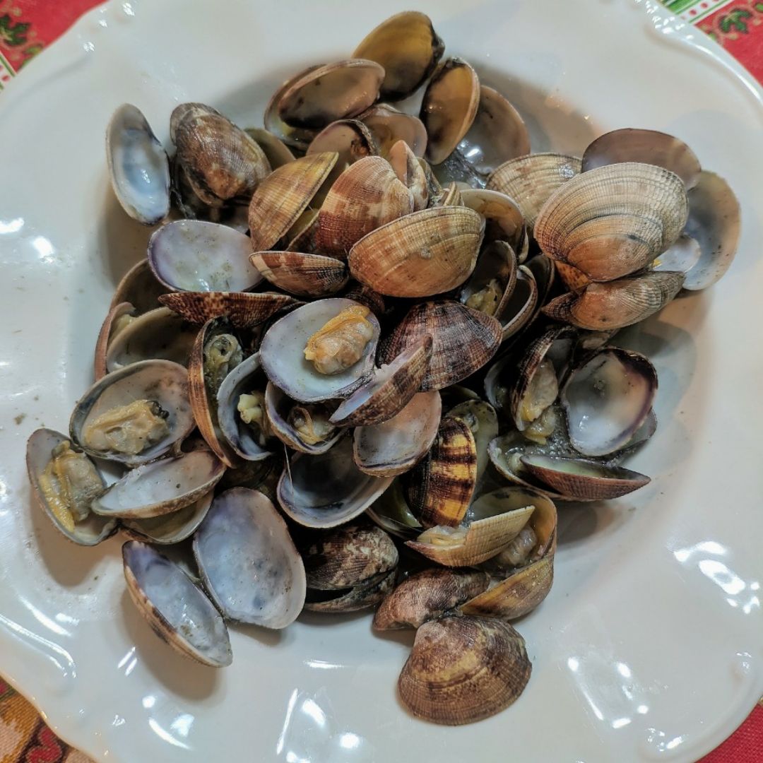 Almejas Almejas