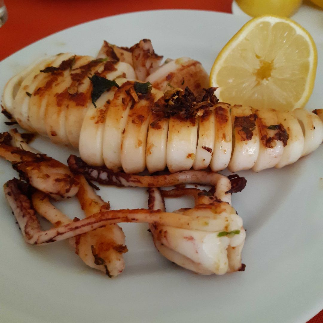 Calamar Calamar