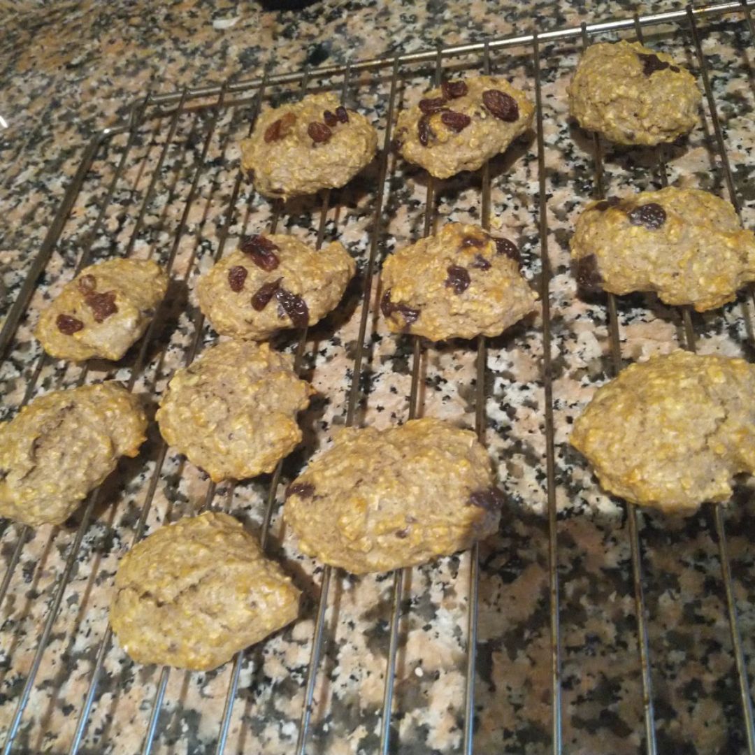 Galletas abizcochadas de avena y espelta Galletas abizcochadas de avena y espelta