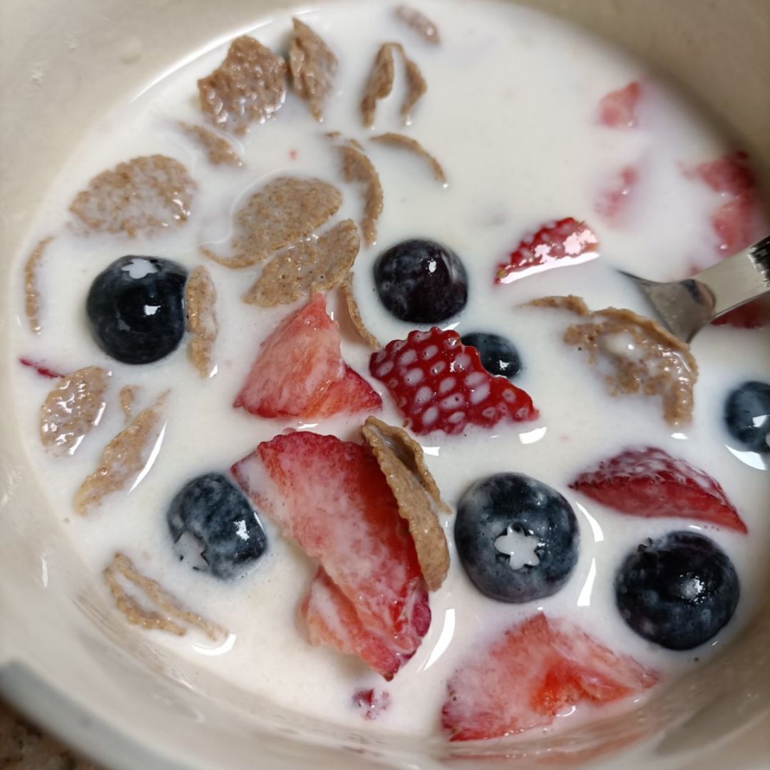 BOL DE LECHE Y FRUTA BOL DE LECHE Y FRUTA