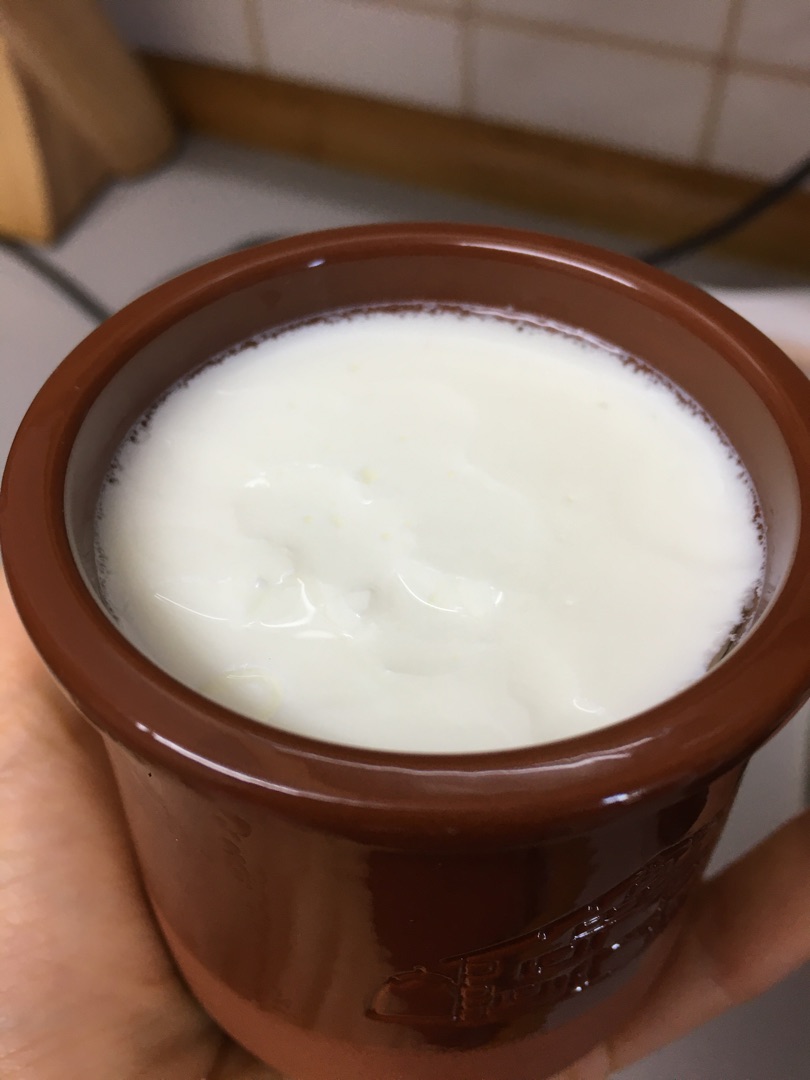 Yogur naturalStep 0