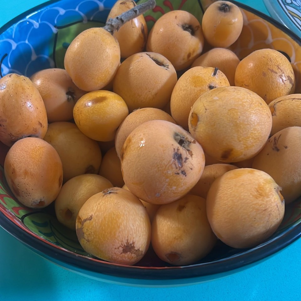 Dátil con crema cacahuete Dátil con crema cacahuete