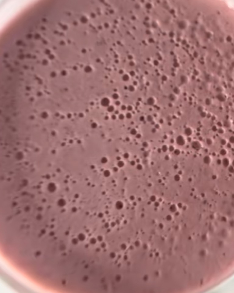 Petisui de proteína Petisui de proteína