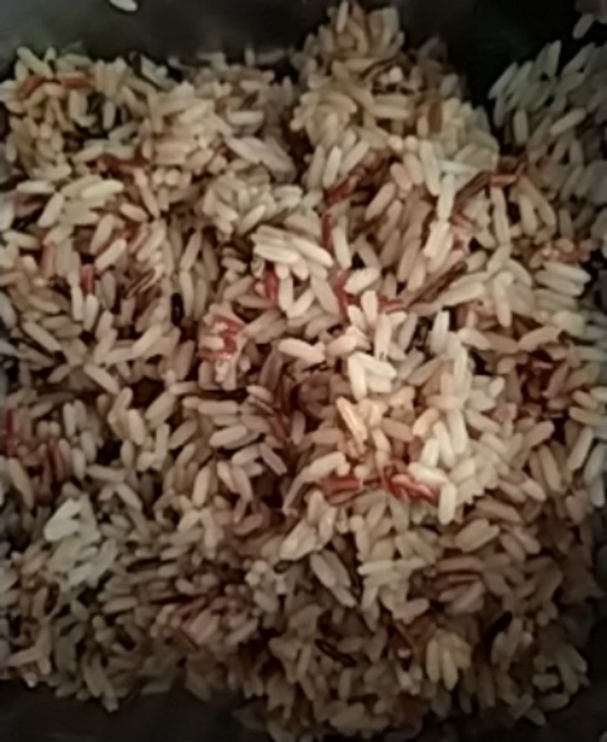 Ensalada de arroz salvaje