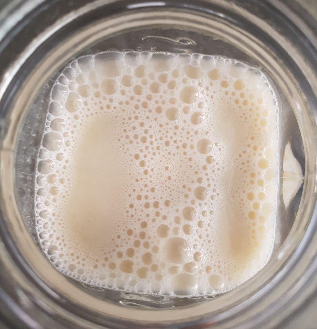 Horchata casera