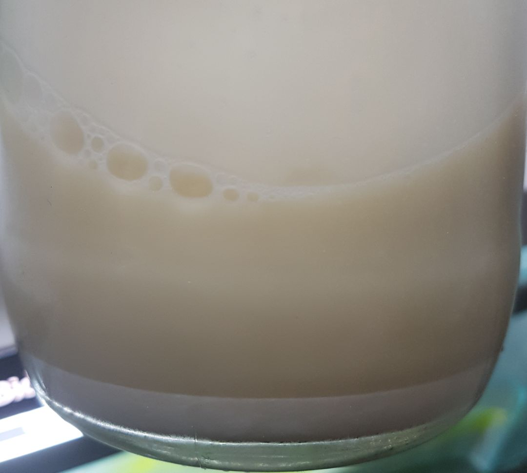 Horchata caseraStep 0