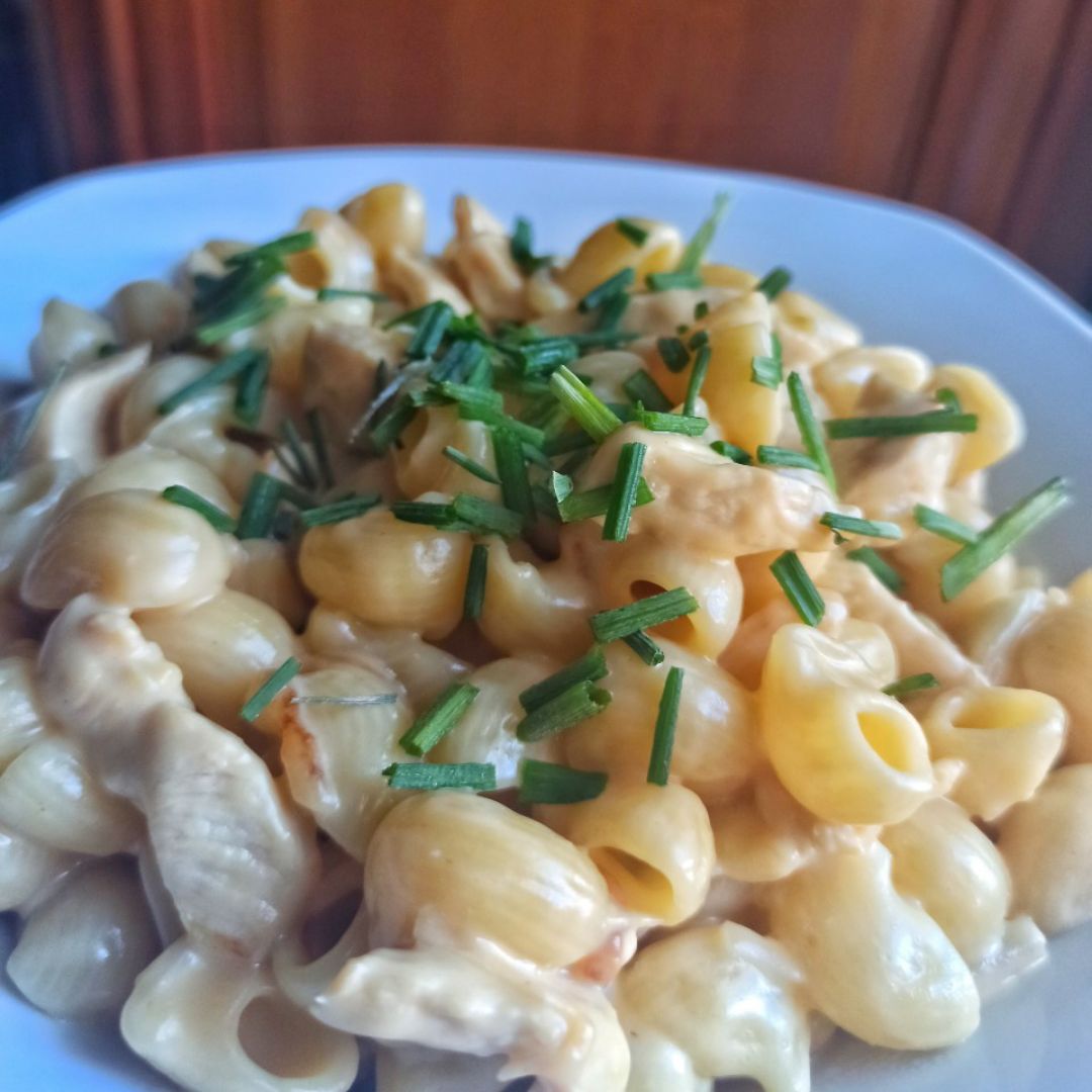 Pasta con queso y pollo