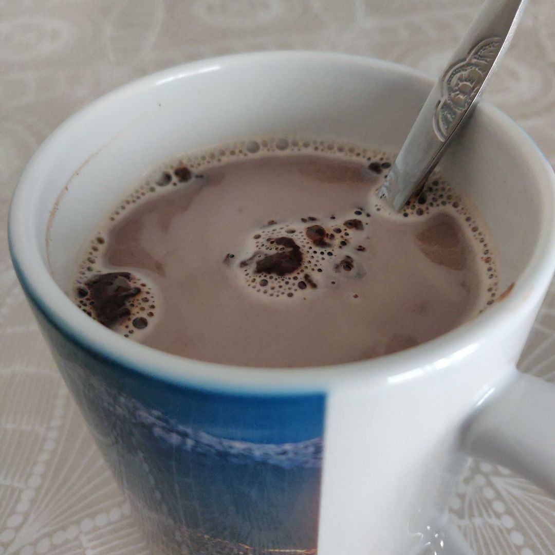 Bebida de avena con cacao puro 
