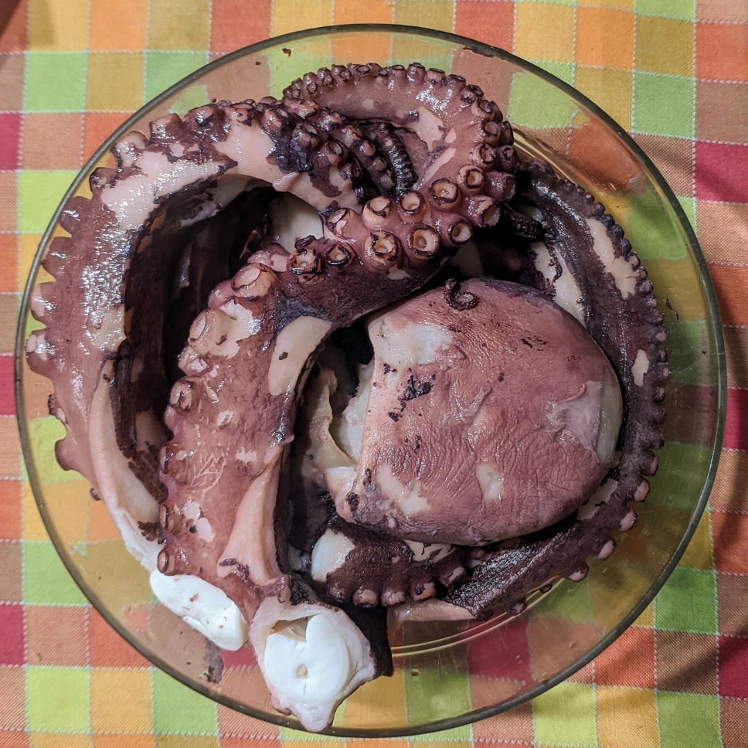 Cocer pulpo 