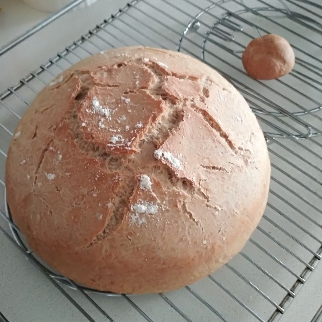Pan Pan