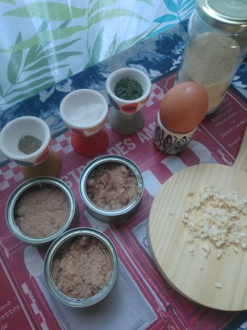 Albóndigas de atún en lata.Step 0