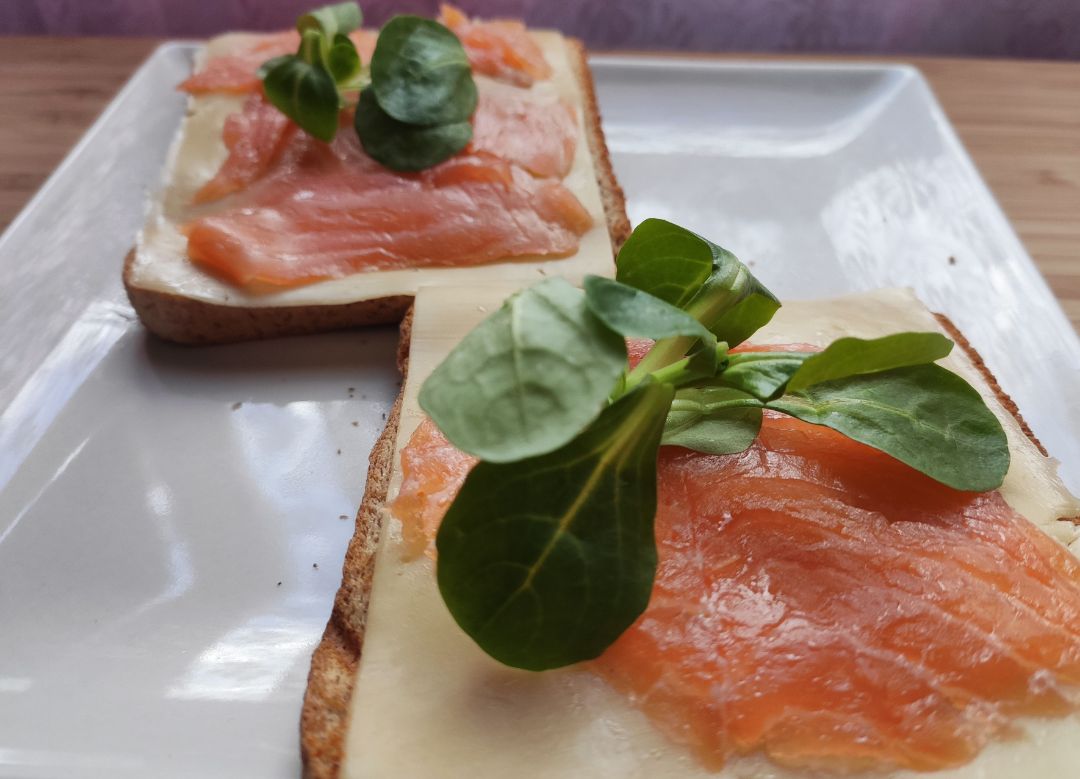 Tostada de pan integral con salmon