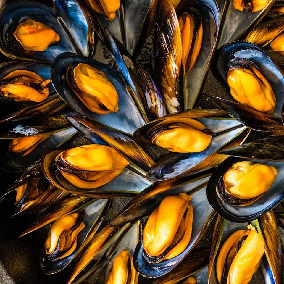 Mejillones al vapor 