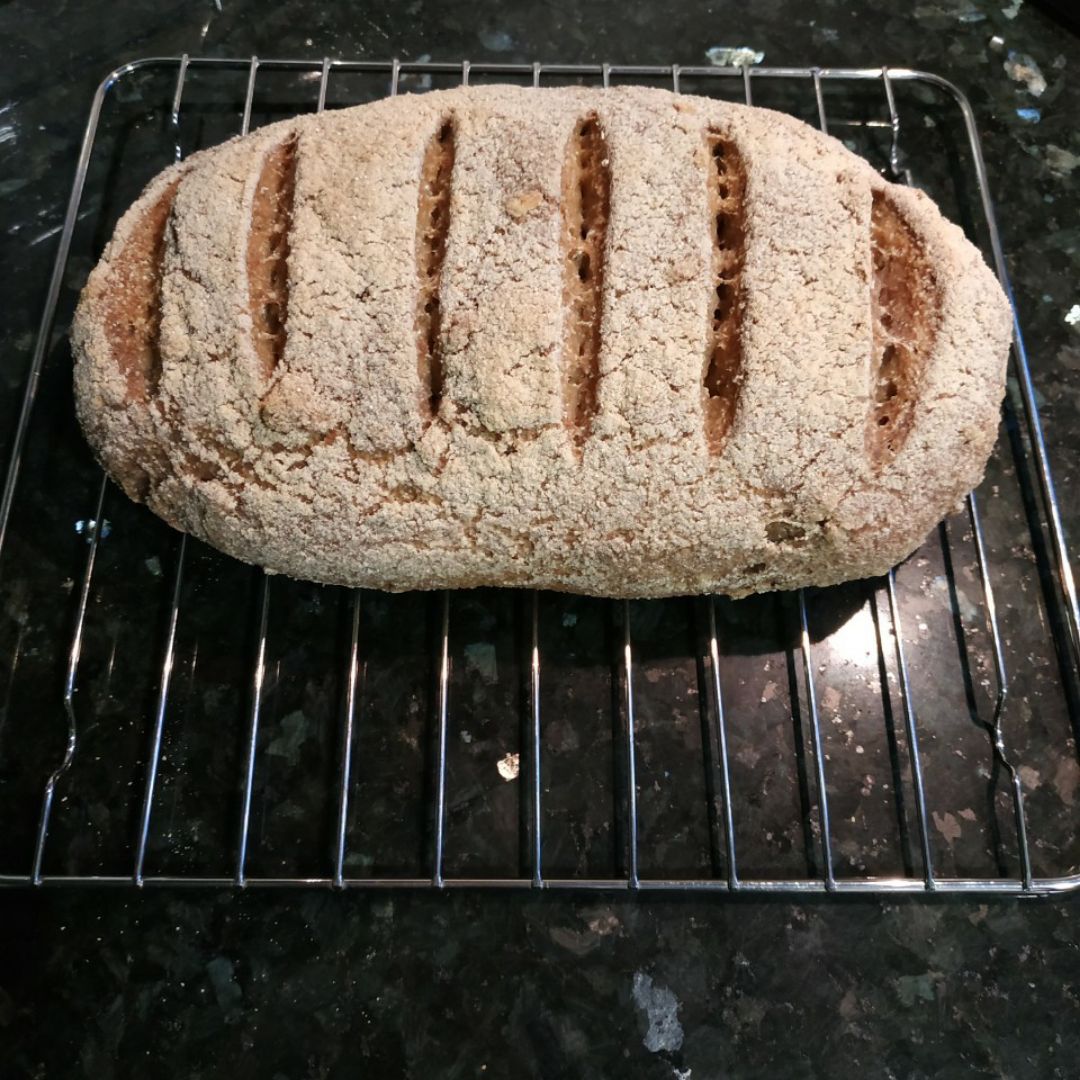 Pan de Arroz Integral, Mijo, Trigo Sarraceno y Nueces Paso 4 Pan de Arroz Integral, Mijo, Trigo Sarraceno y Nueces Paso 4