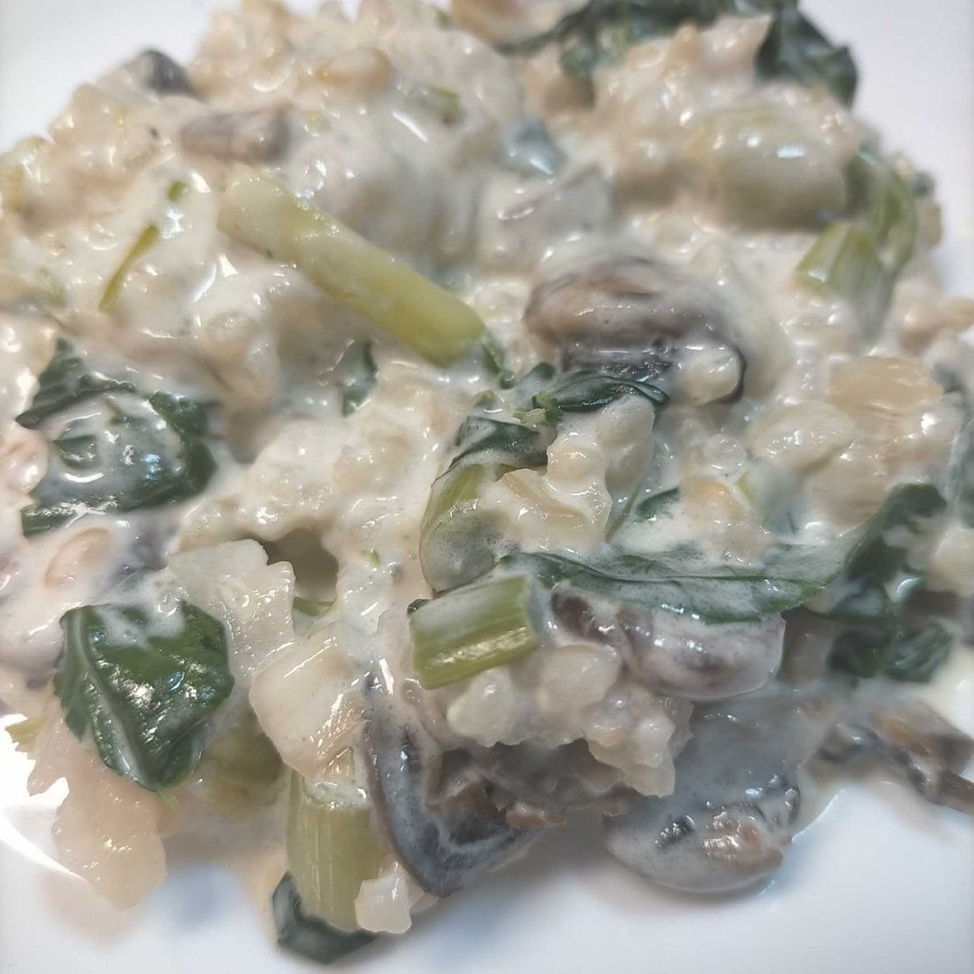 Arroz mío 😸 Arroz mío 😸