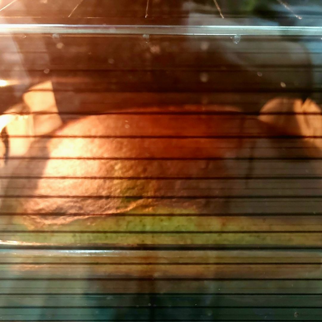 Sobao realfooder de plátano🍌, manzana 🍏y naranja🍊 Paso 4