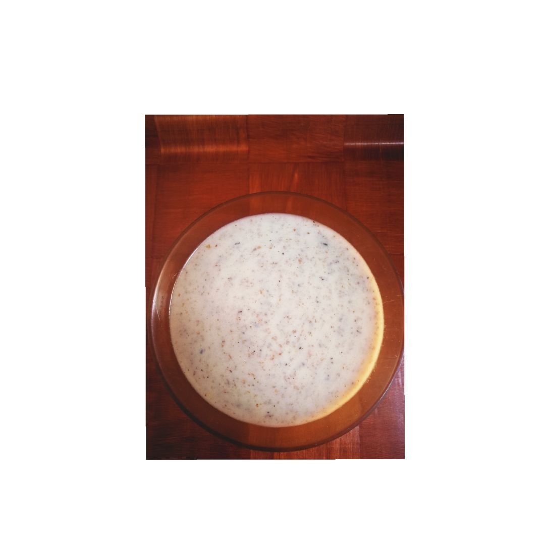 Bechamel integral al micro Bechamel integral al micro