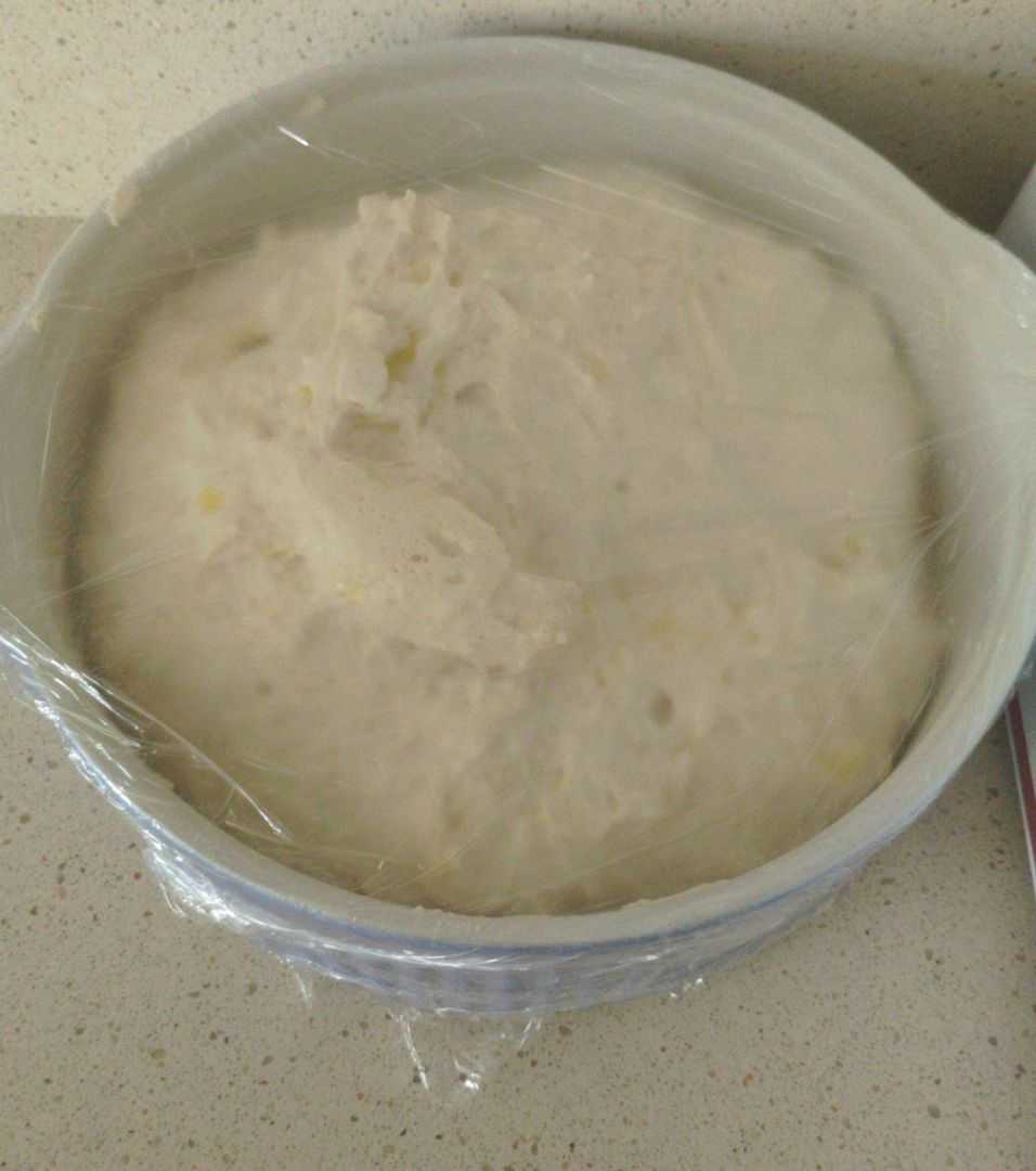 Pan sin gluten (preparado panificable) Paso 3 Pan sin gluten (preparado panificable) Paso 3