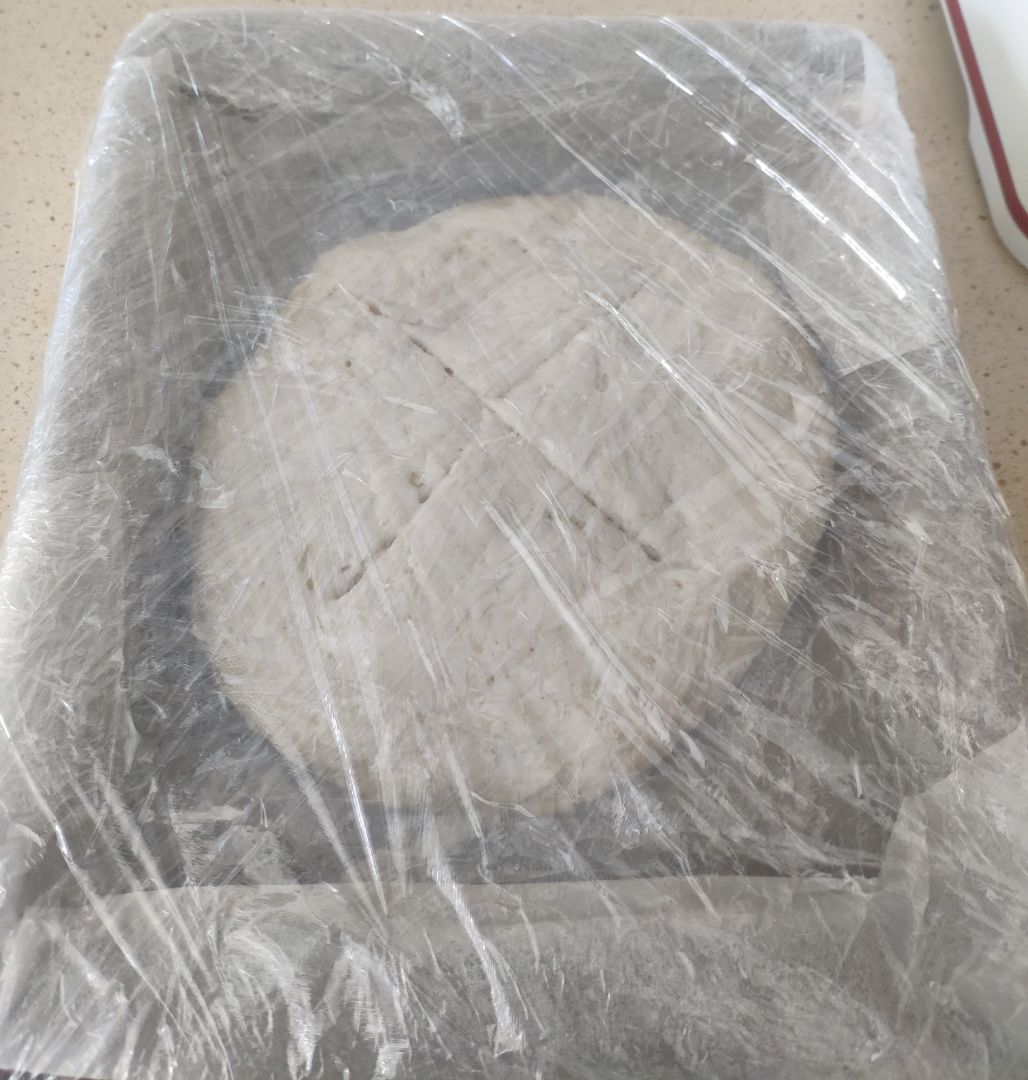 Pan sin gluten (preparado panificable) Paso 4 Pan sin gluten (preparado panificable) Paso 4