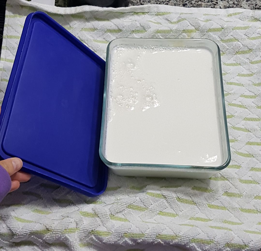 Yogurt casero estilo OIKOS 馃 馃ぉ Paso 2 Yogurt casero estilo OIKOS 馃 馃ぉ Paso 2