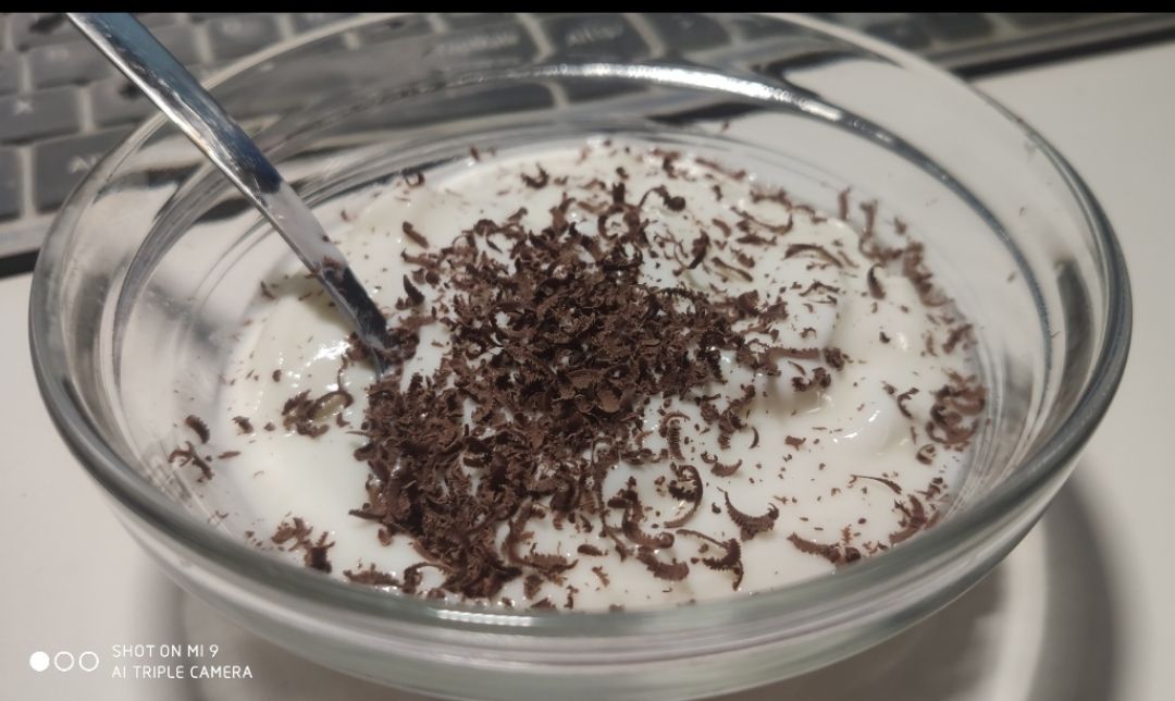 Iogurt cremoso desnatado sin lactosa con chocolate orgánico 95% sin azúcares. 