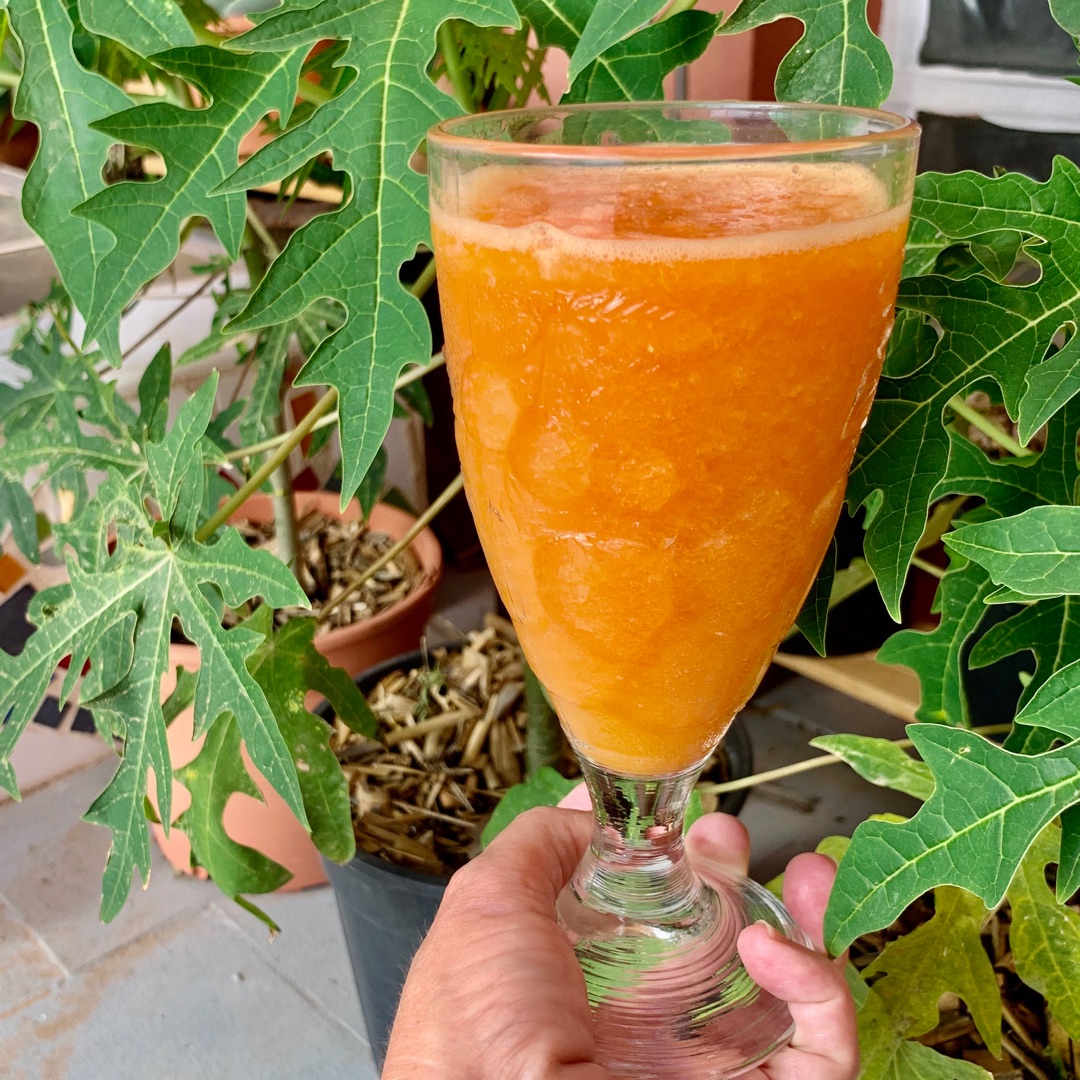 Papaya 🍑 y mandarinas 🍊 