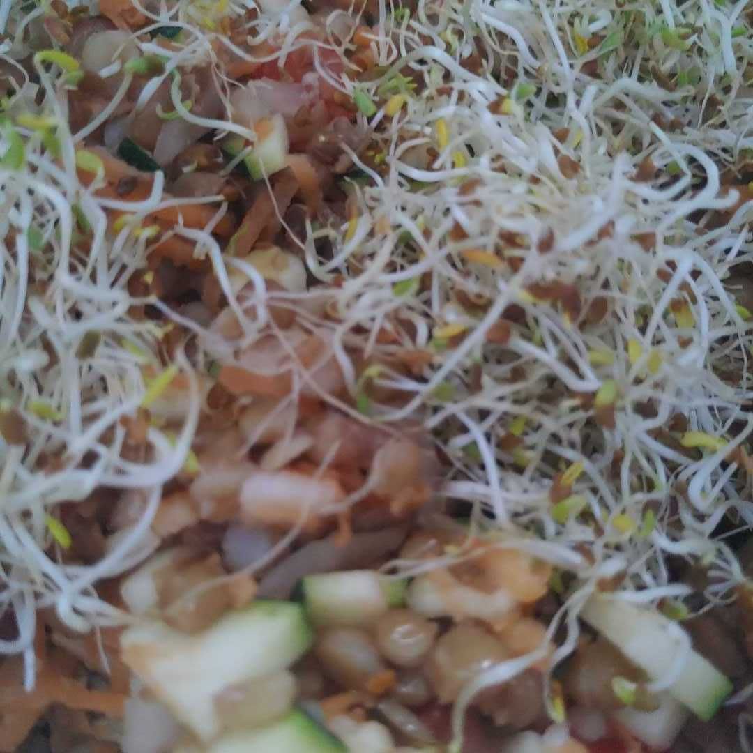 Ensalada de lentejas