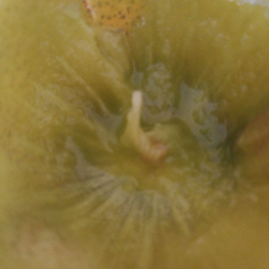 Kiwi amarillo Kiwi amarillo