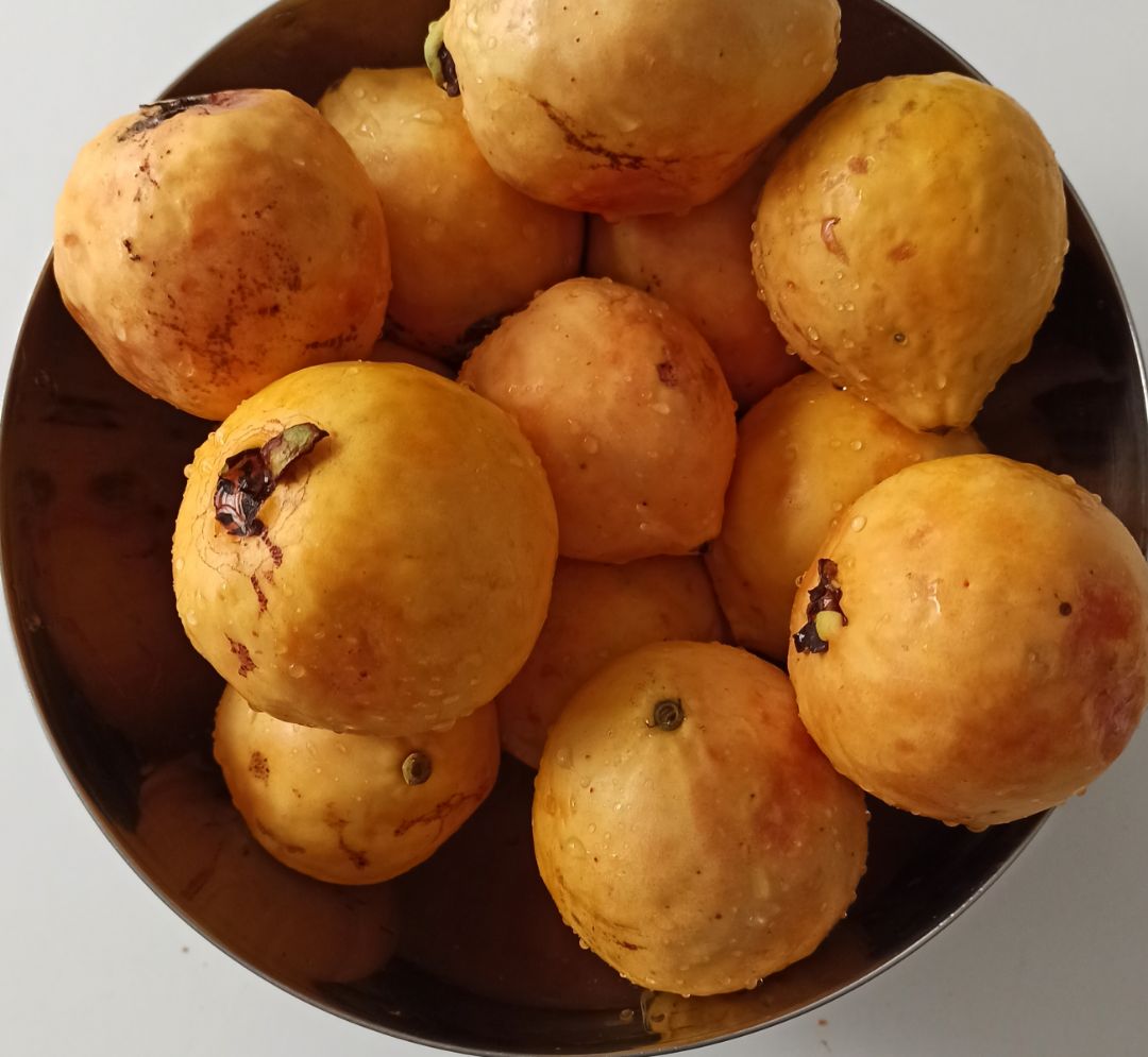 🌸DULCE DE GUAYABA🌸 Paso 0 🌸DULCE DE GUAYABA🌸 Paso 0
