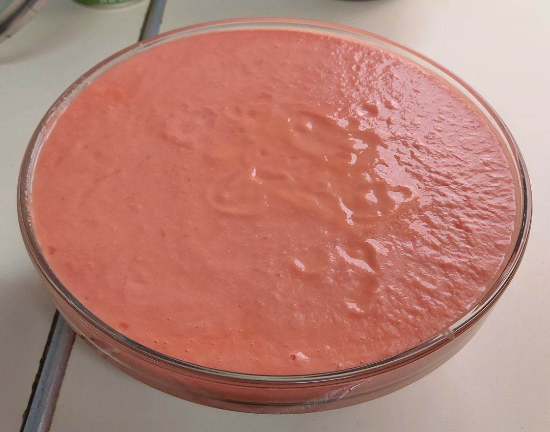 SALMOREJO SIN PAN Paso 1 SALMOREJO SIN PAN Paso 1