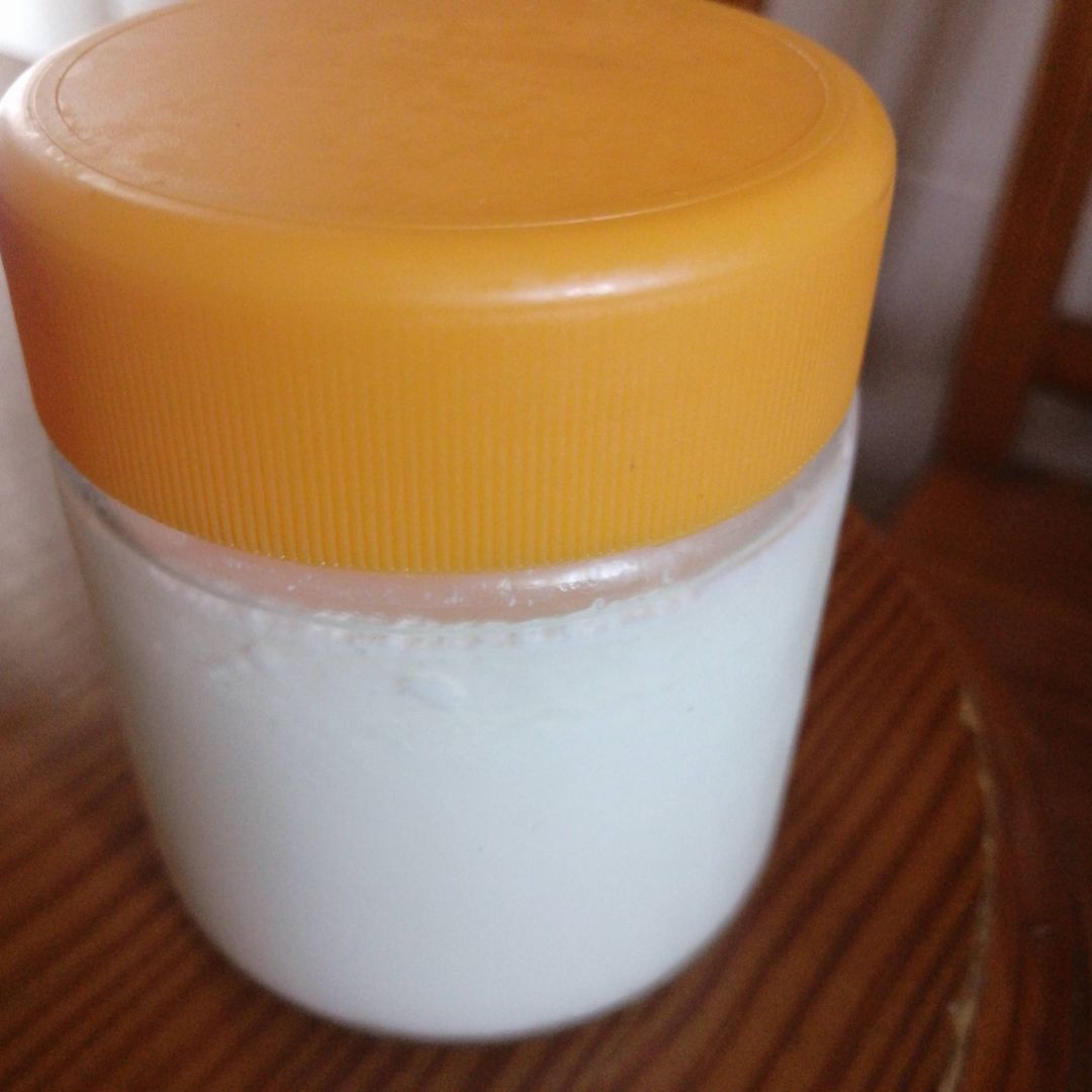 Yogur casero Yogur casero